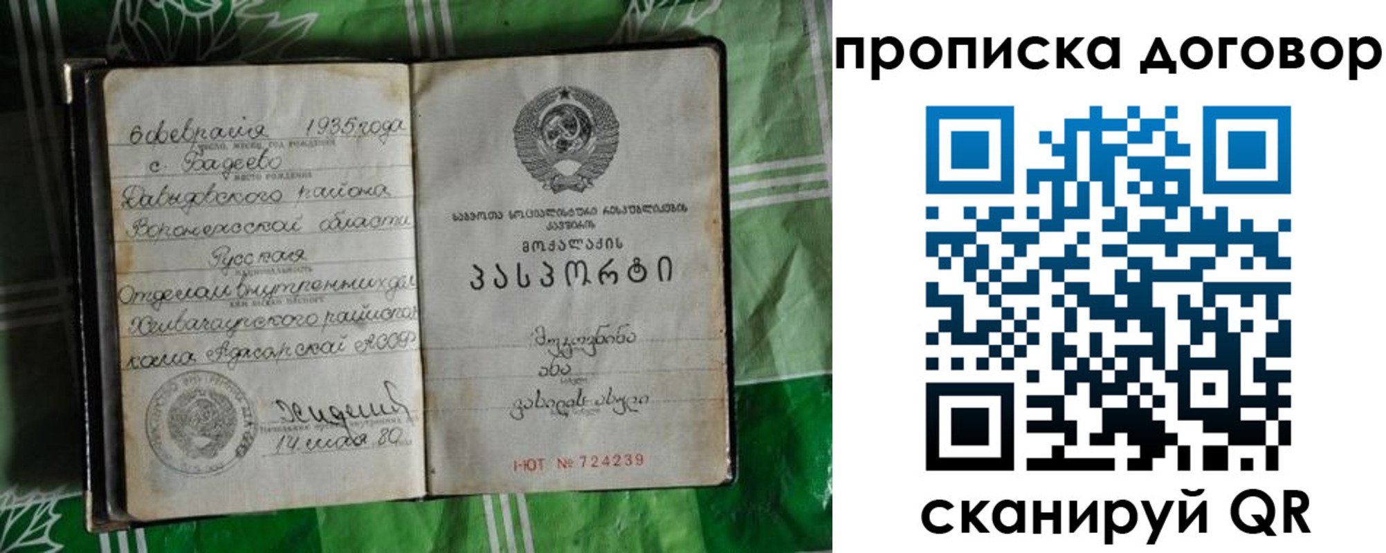 прописка в Стародубе